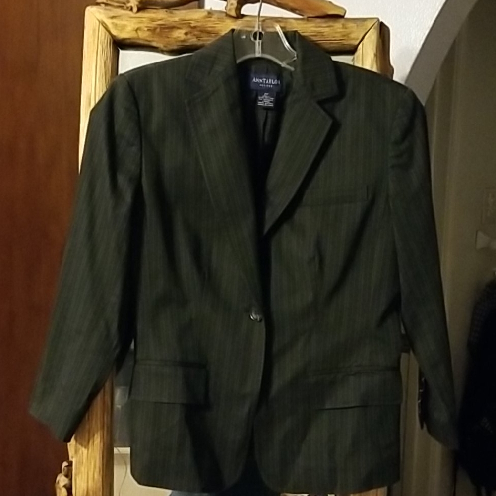 Ann Taylor stripe blazer